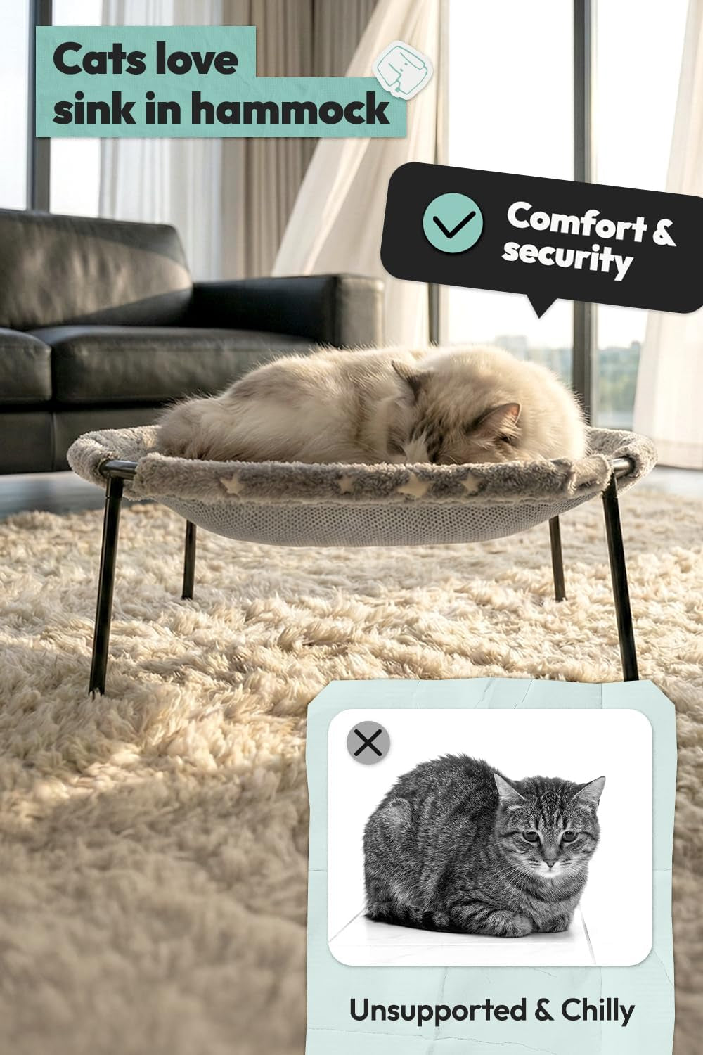 Cream colored cat curled up asleep in the elevated hammock cat bed on a shag rug