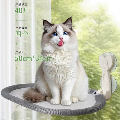 Cream oval mesh cat perch shown from above displaying its padded rim and breathable center
