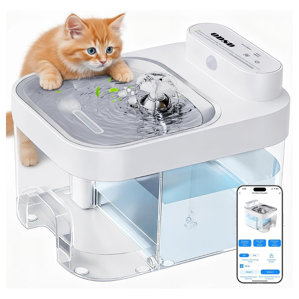 White ODSD cat water fountain with a kitten drinking from the bubbling top water bowl