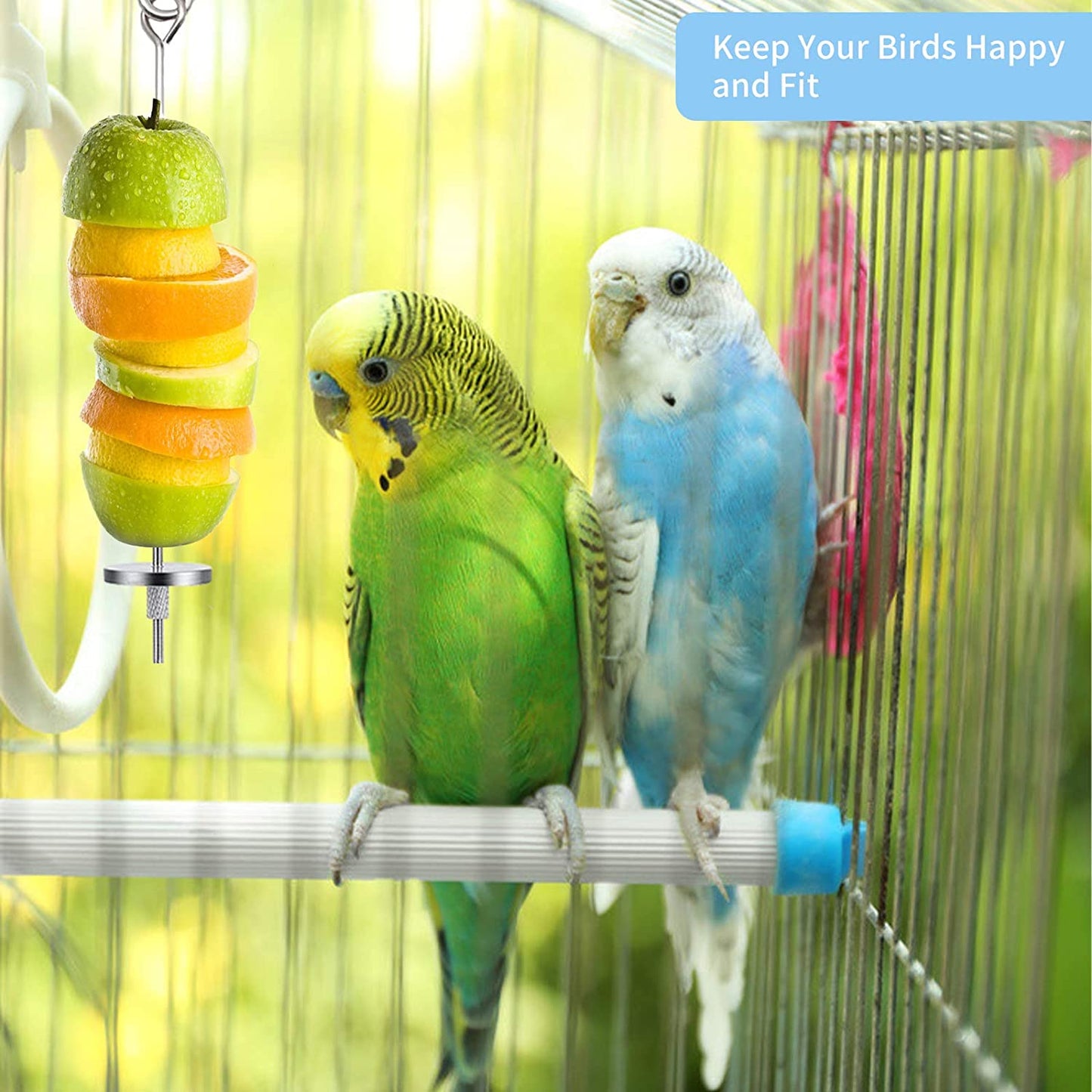 Two budgies on a perch beside a skewer holding a sliced apple hung inside their cage