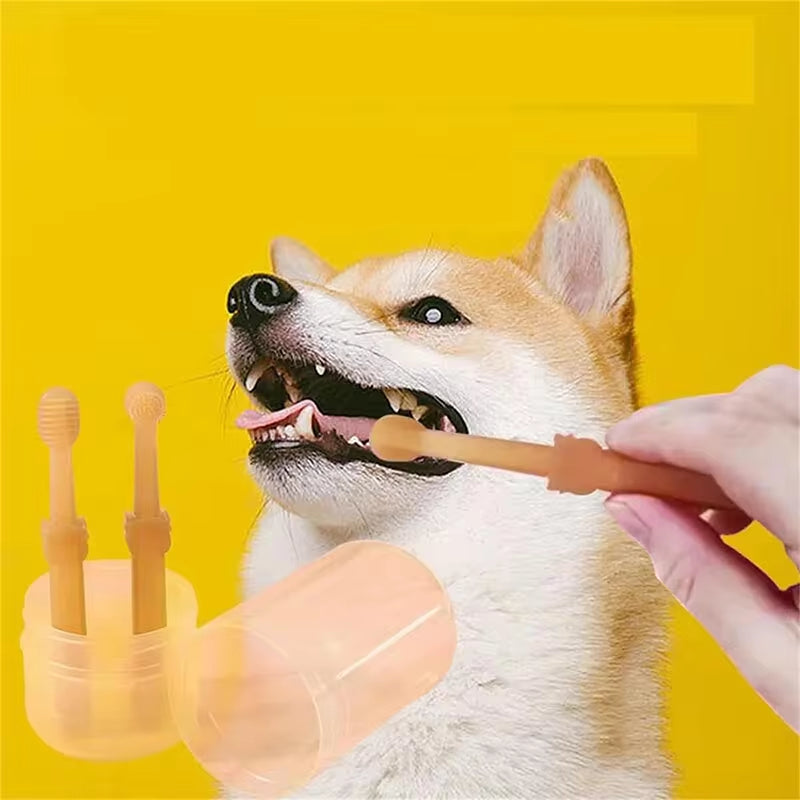 Hand brushing a Shiba Inu's teeth with the orange silicone dual-head toothbrush against a yellow background