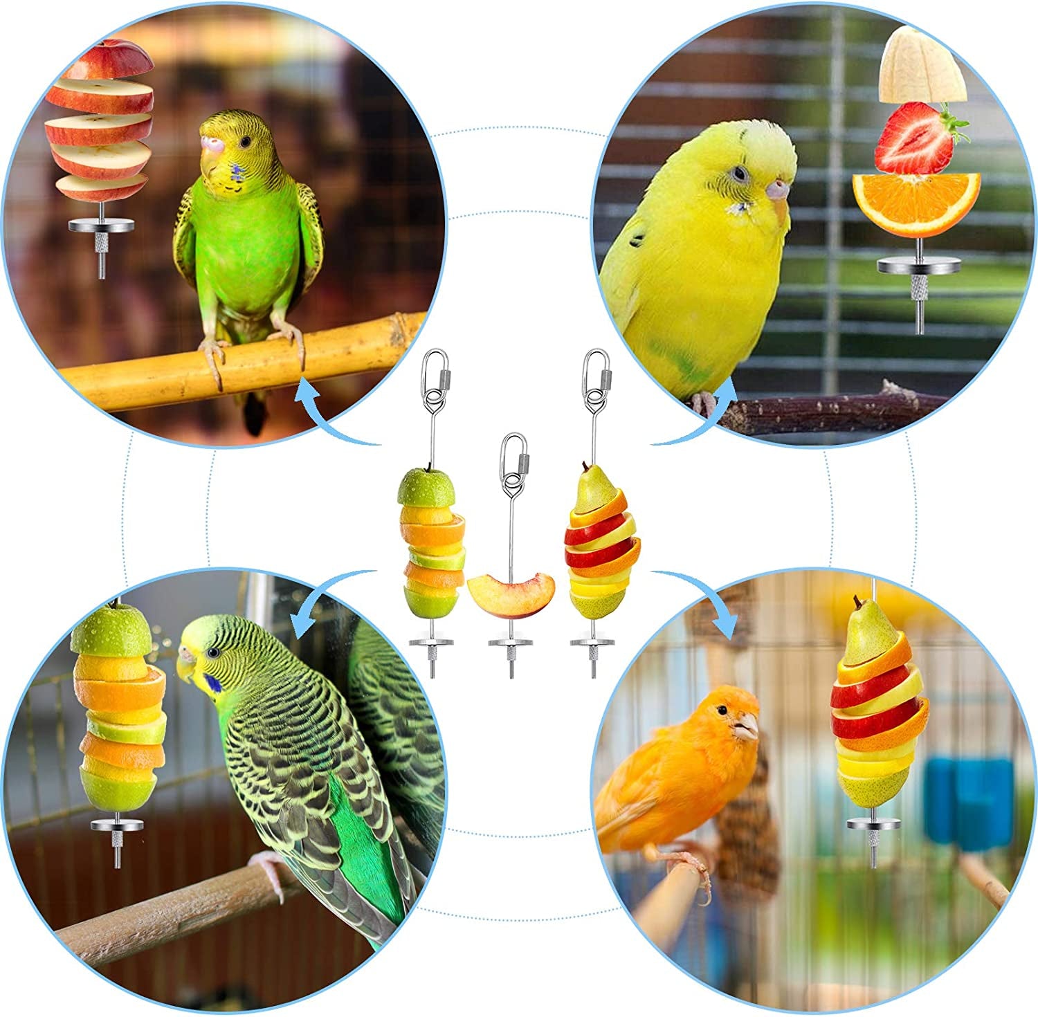 Budgies, a canary, and a cockatiel each perched near a skewer loaded with apple, orange, and pear slices