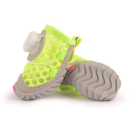 Small dog standing on a hardwood floor wearing all four mesh dog shoes from the 4-pack