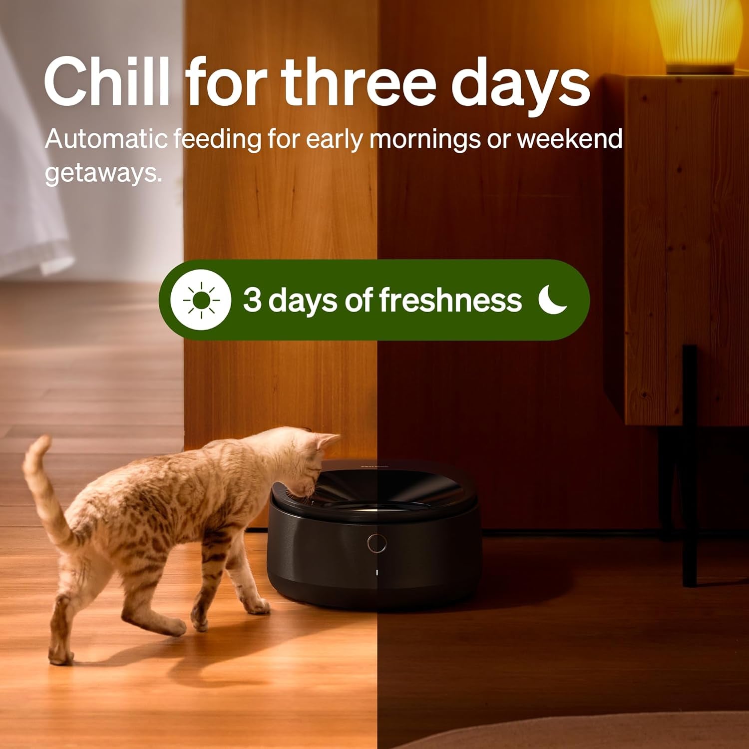 Cat eating from the black Polar feeder at night beside a badge reading 3 days of freshness