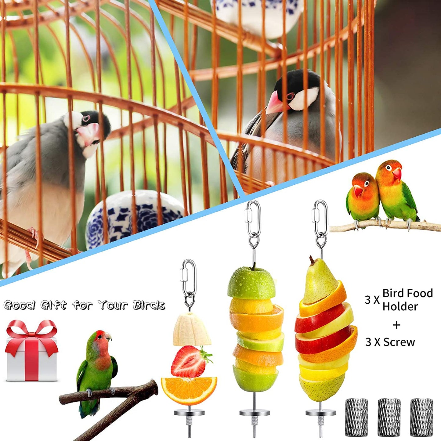 Finches perched in a cage above the bird food holder skewers loaded with sliced fruit and a gift box graphic