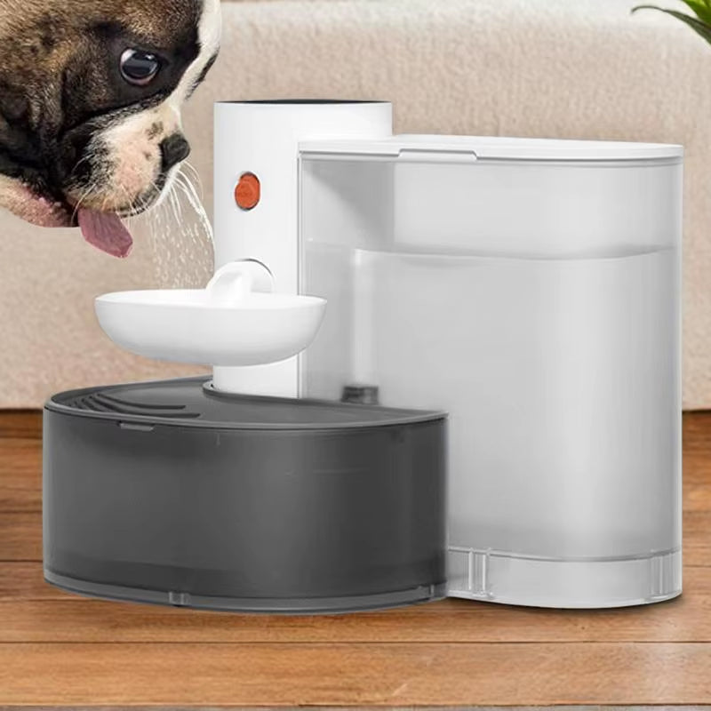 French Bulldog drinking water from the wireless fountain's small elevated bowl attachment
