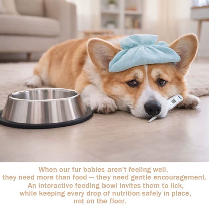 Corgi resting on the floor beside a plain stainless steel bowl, illustrating gentle at-home feeding encouragement