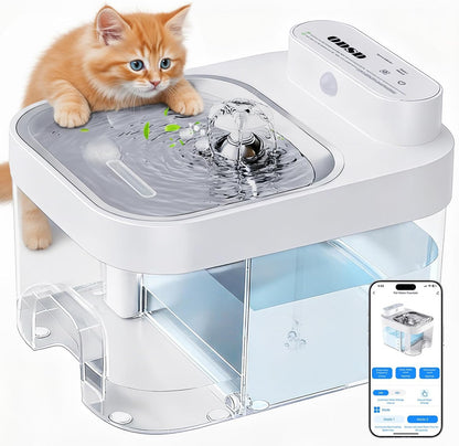 White ODSD cat fountain with a kitten paw resting on the rim next to a phone showing the companion app