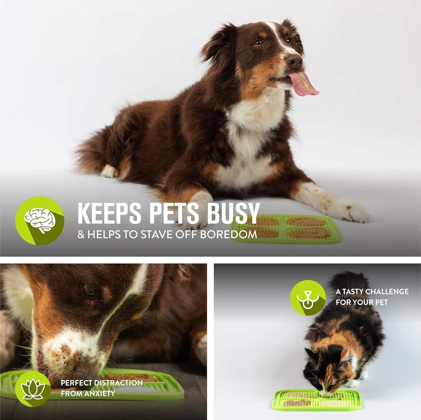 Dog licking treats from the lick mat next to a cat eating from the same mat in two side photos