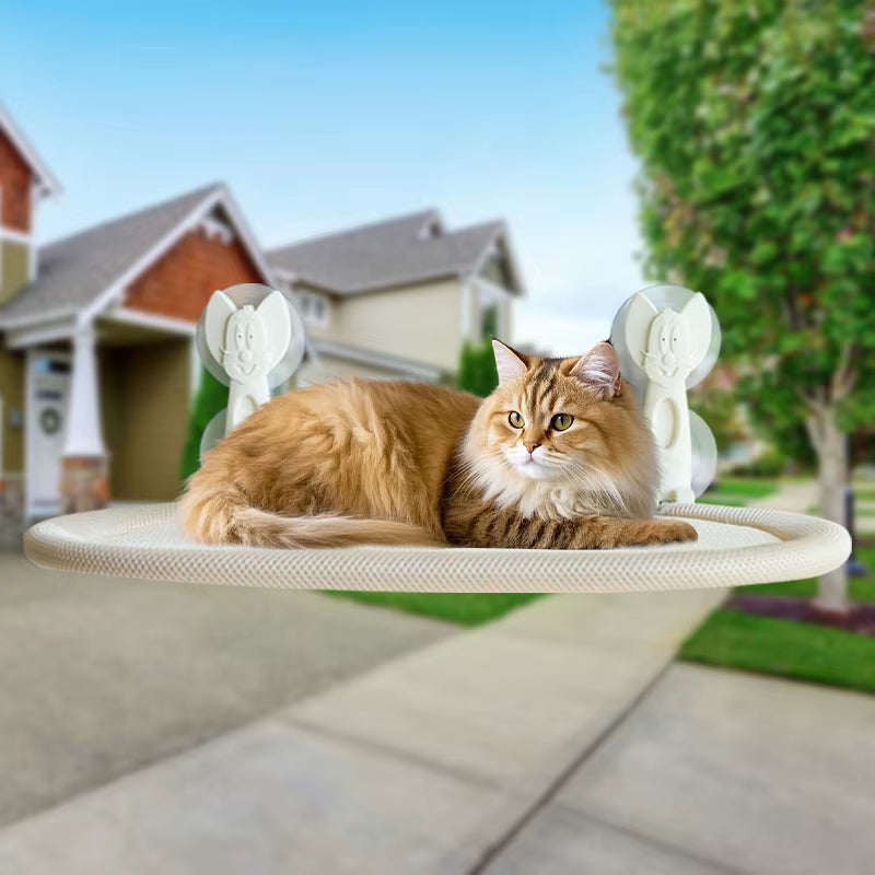 Product graphic showing the window-mounted cat hammock perch with its suction cup mounts
