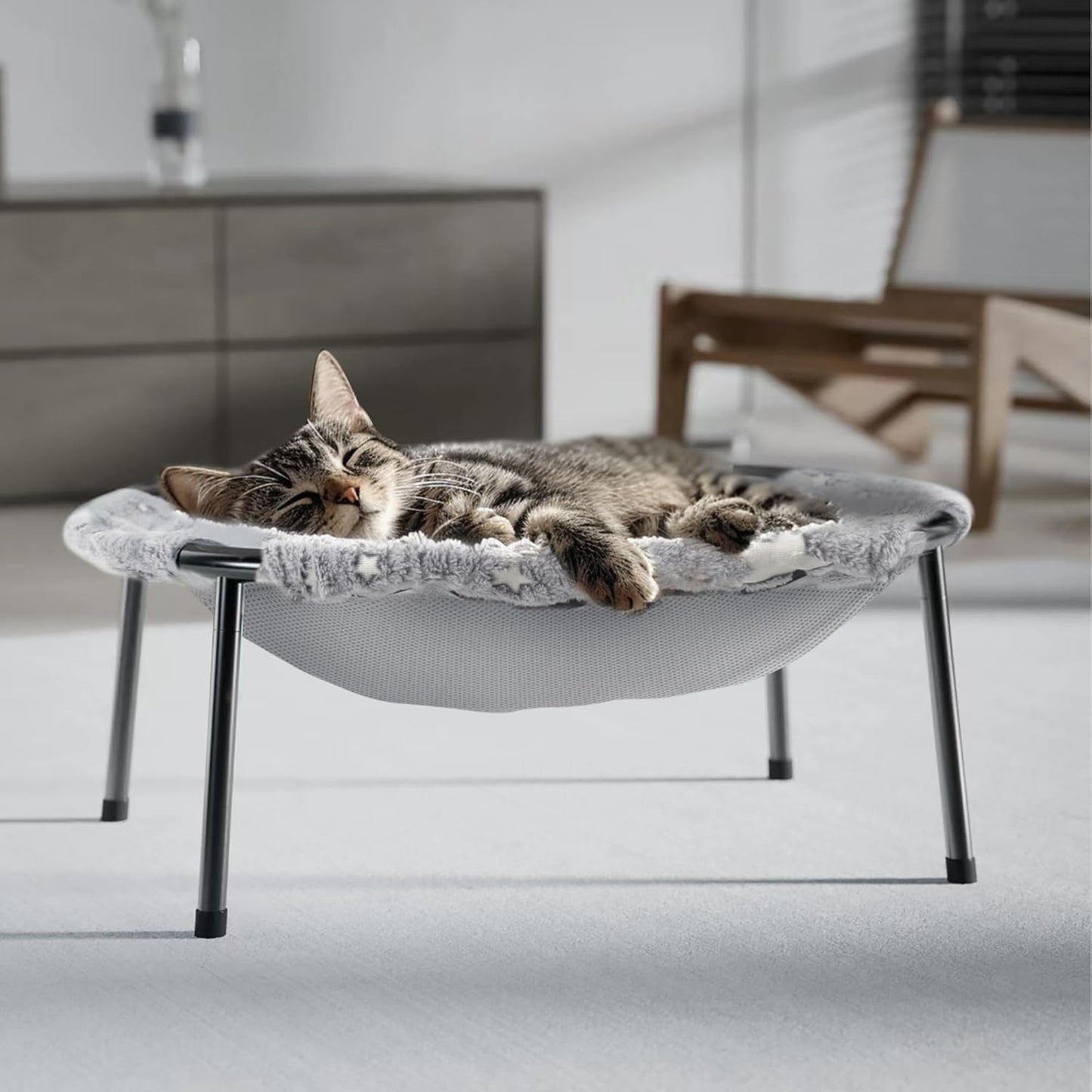 Tabby cat sleeping in a gray elevated hammock cat bed with metal legs on a living room floor